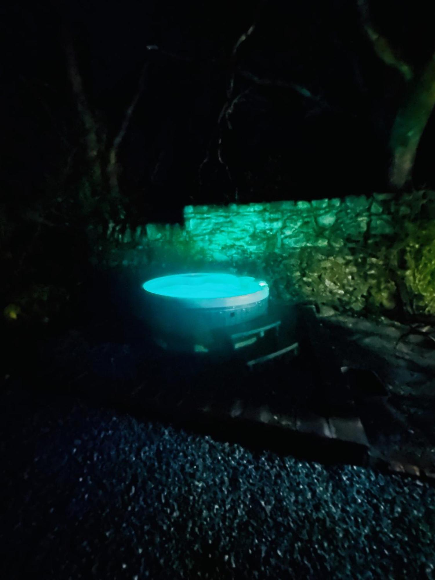 Tiny Romantic Retreat With Hot Tub On A Country Estate Near Cardigan Bay In Eryri Snowdonia Llanbedr (Gwynedd)